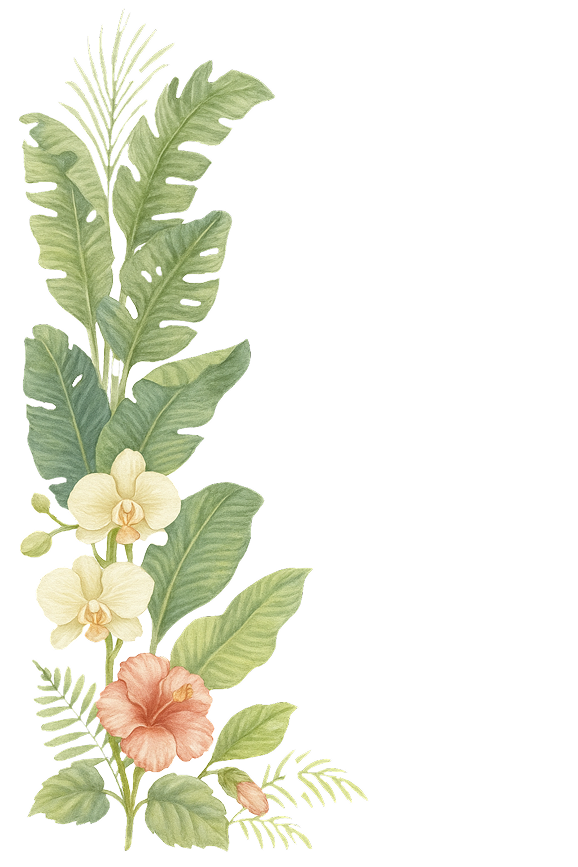 A316gFJGPetJ8sZtu6CcnccOCGiiYi5pDfjnBE39.png