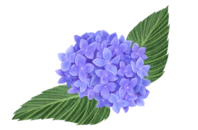 CBK5ulP5WUJ2IIIWv4VFofews5CF7cf90VSxal8I.webp