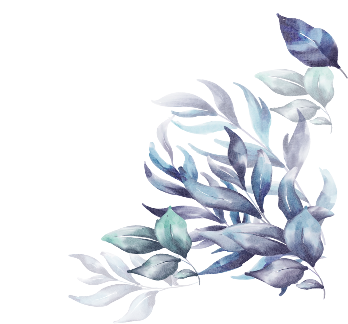 trihkXFiYoxle9iHaSc5i9Sm7XgJiiRmD4G4s0mu.webp