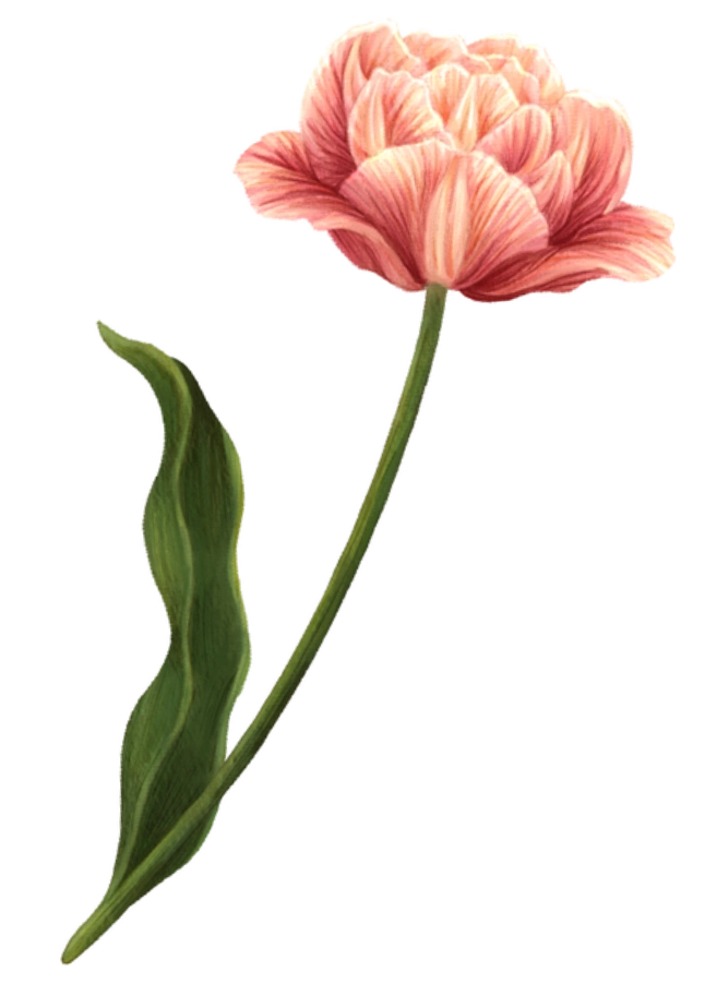 sKfFKgyvyK1rQkwuqad3lkdklbZCwfU4uMLcdU0h.webp