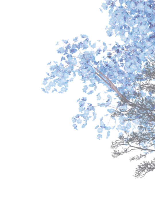 trihkXFiYoxle9iHaSc5i9Sm7XgJiiRmD4G4s0mu.webp